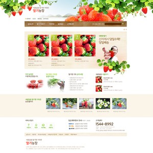 농/특산물, 친환경 쇼핑몰02(딸기) | DESIGN+SKIN SHOP